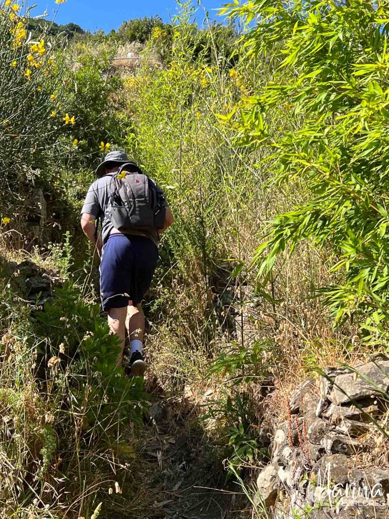 Lost on trail above Manarola, Cinque Terre, Italy