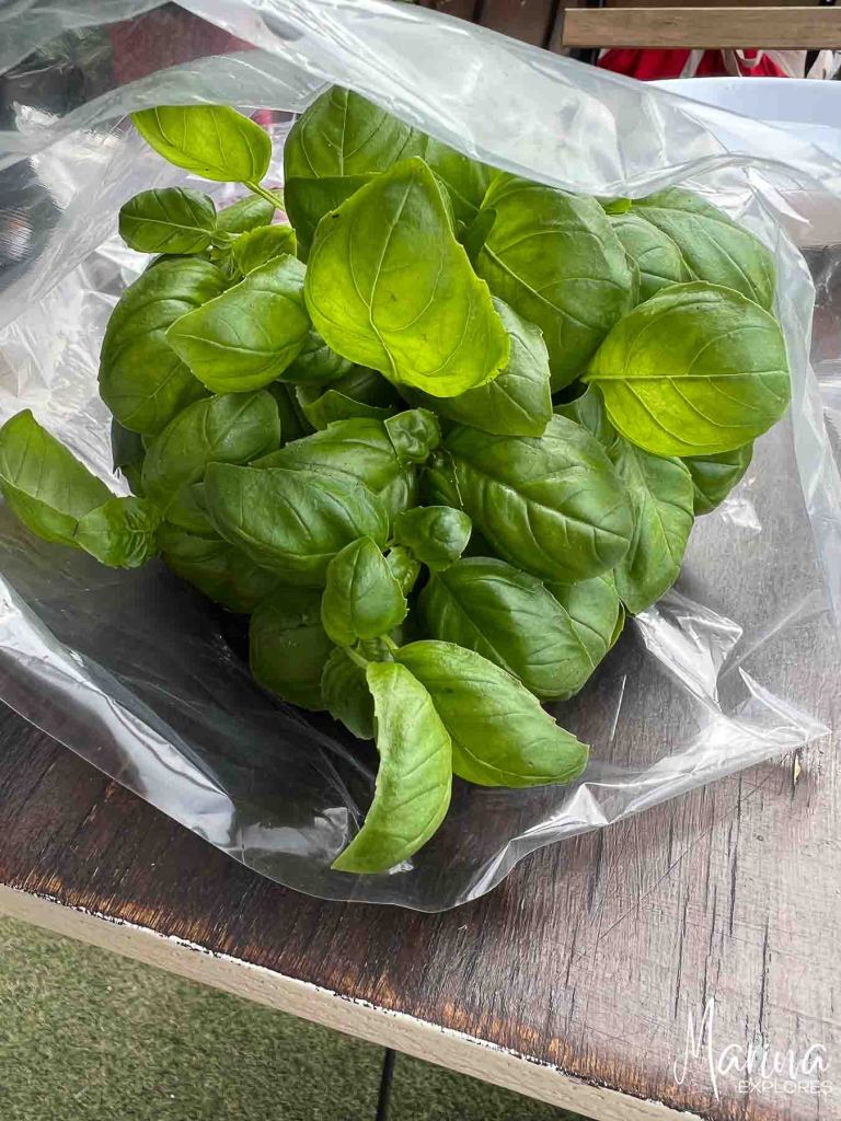 Pesto experience at Nessun Dorma, Manarola, Cinque Terre, Italy