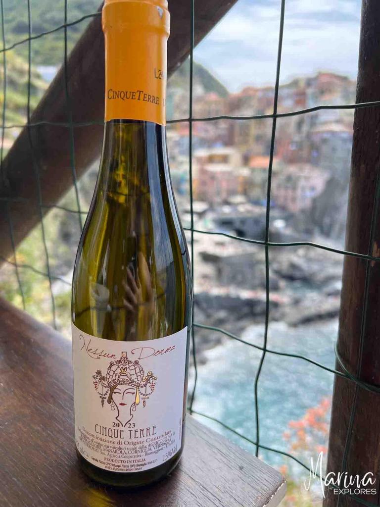 Pesto experience at Nessun Dorma, Manarola, Cinque Terre, Italy