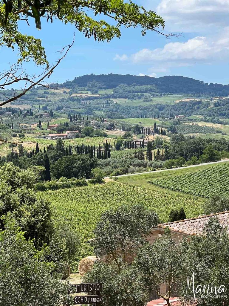 Views of Tuscany during lunch on an organic farm during day trip from Florence, Italy
