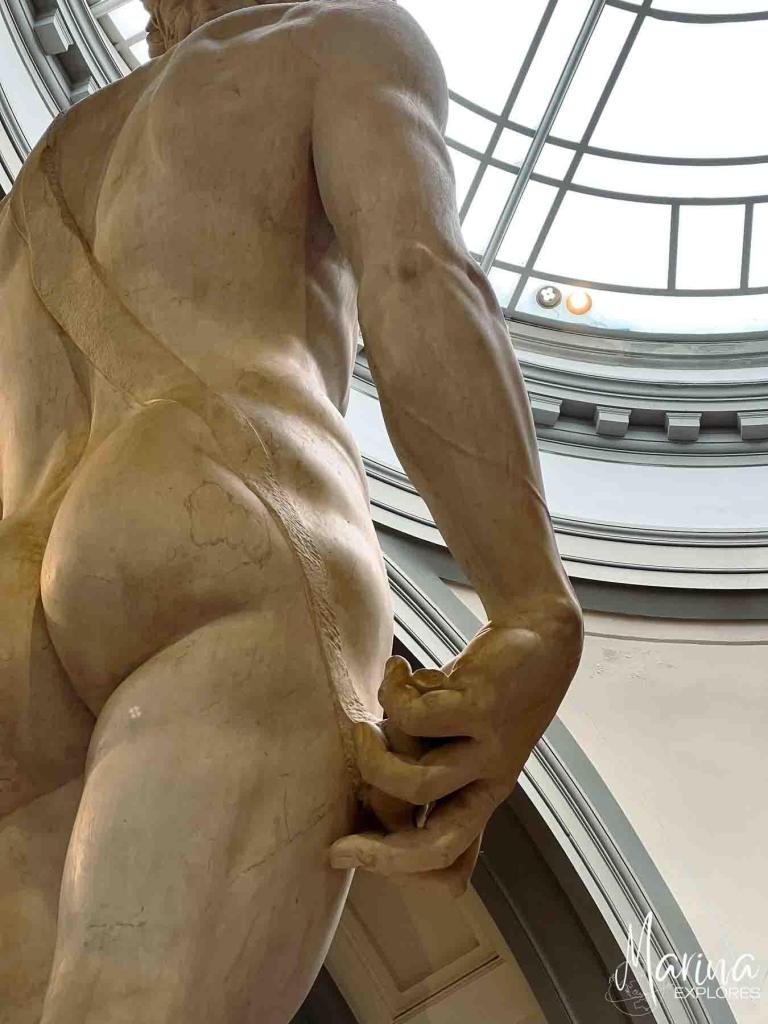 David Statue at Accademia Galleria in Florence, Italy