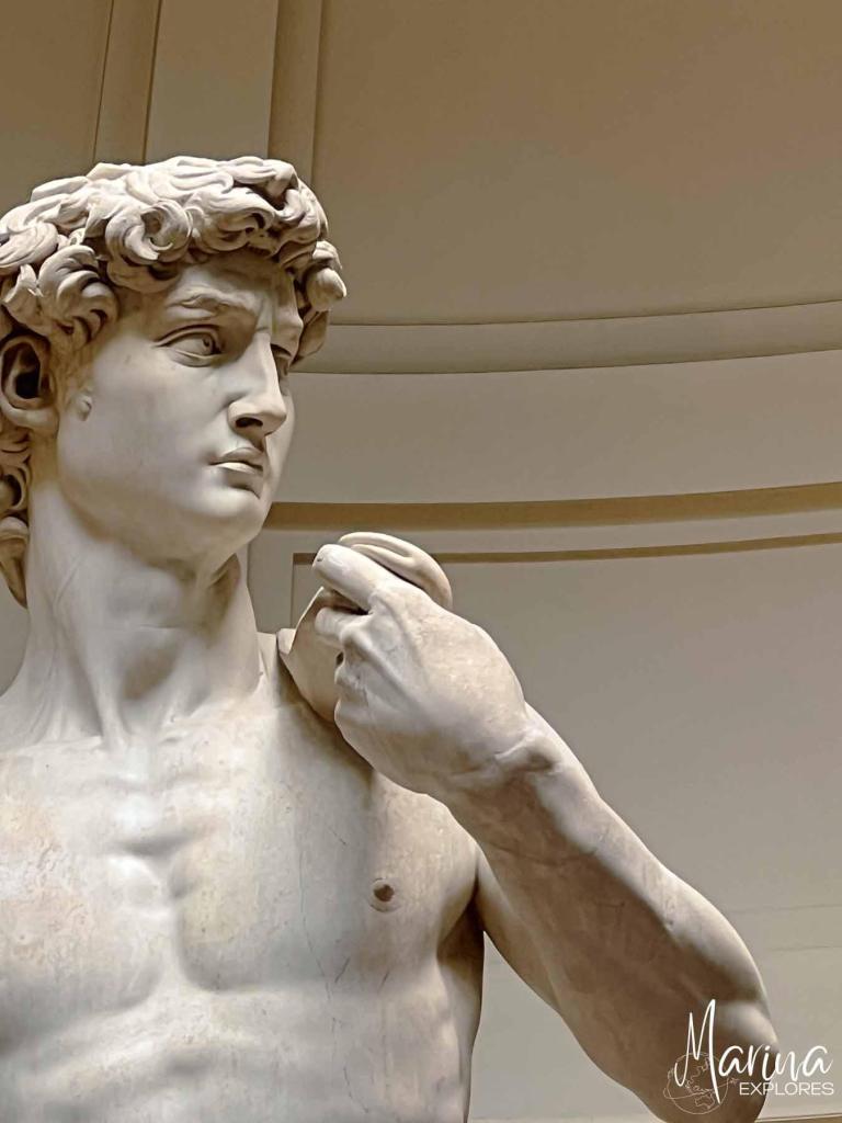 Close up of face David Statue at Accademia Galleria in Florence, Italy