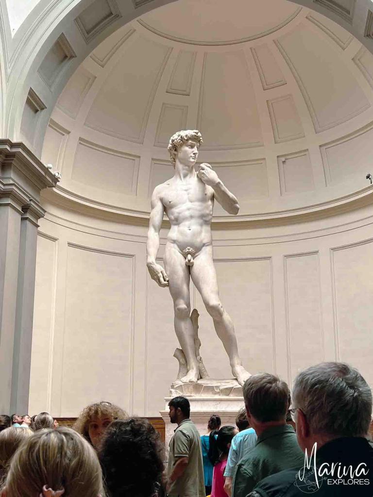 David Statue at Accademia Galleria in Florence, Italy