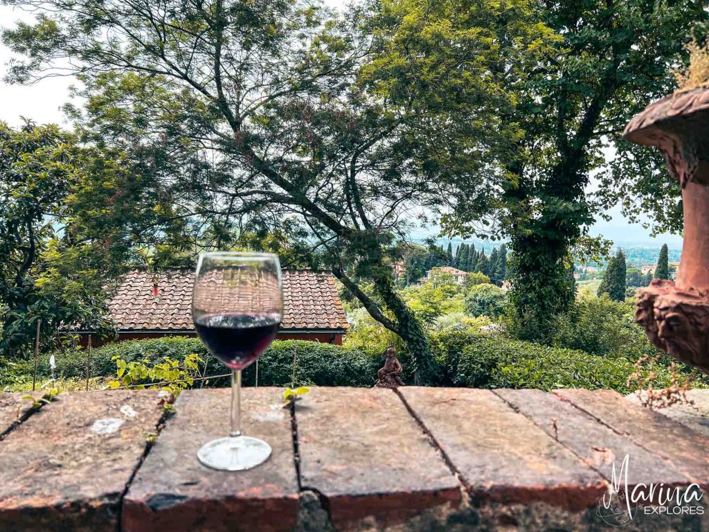 Wine glass and view in cooking class in Florence, Italy