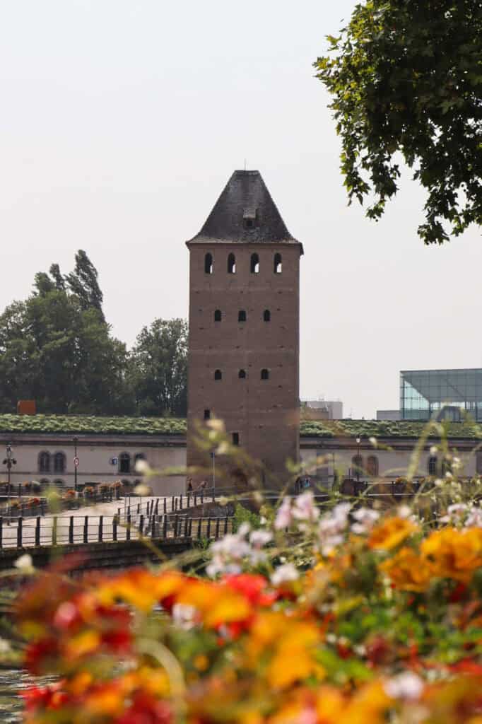 Flower boxes in foreground, tower in background along canal