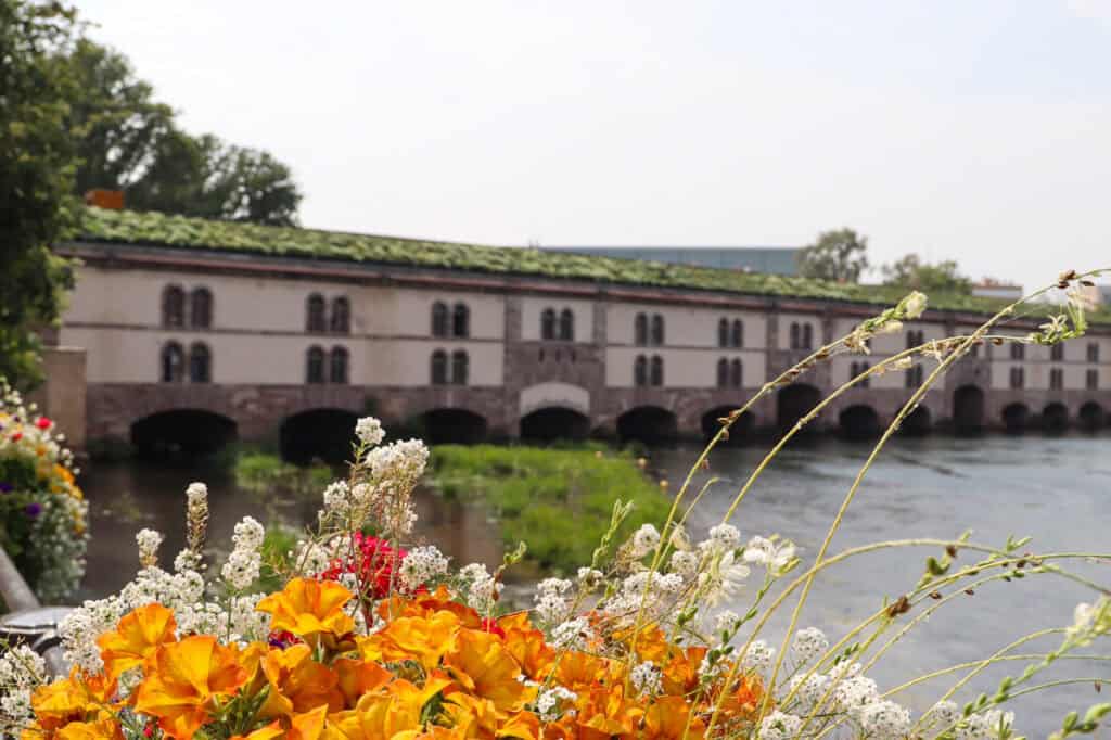 Vauban Damm, bridge with observation terrace over river