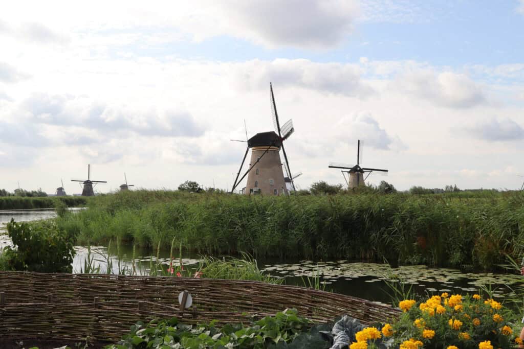 windmills in distance, garden in foreground