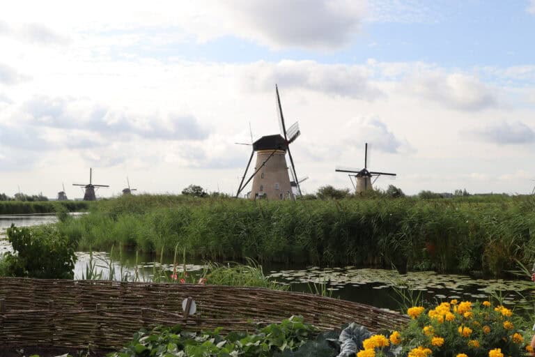 windmills in distance, garden in foreground