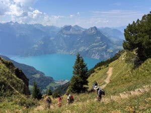 views of lake from hike
